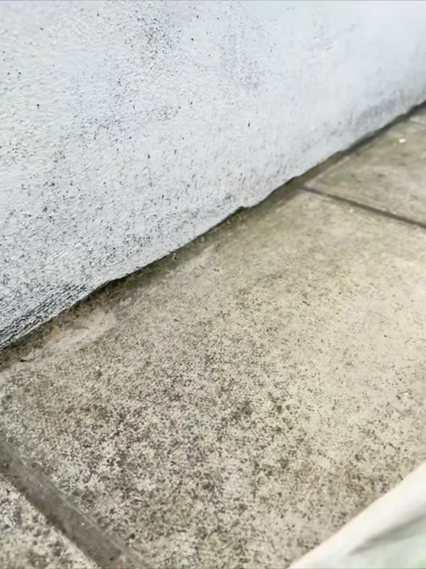 The bottom of the wall, before