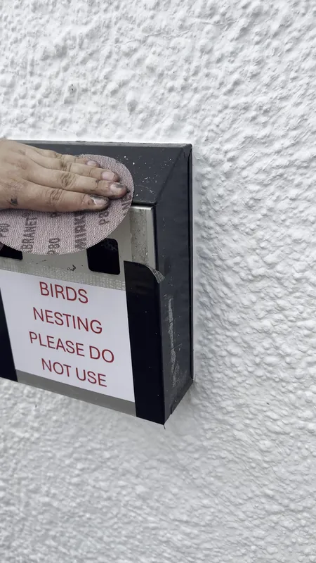 Preparing the blue tits’ wall box