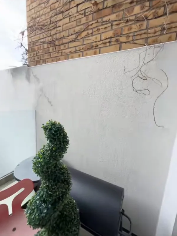 A corner of the terrace — before