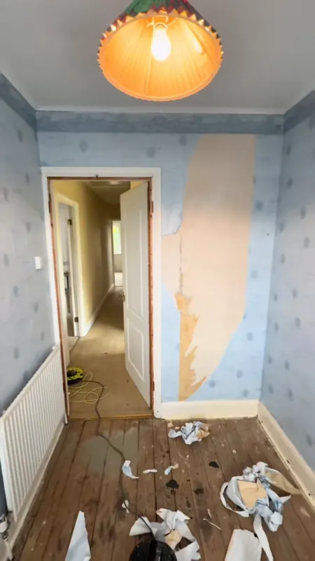 Stripping the old wallpaper in the office