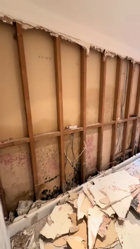 The boards with mould taken off, ready for the area to be treated