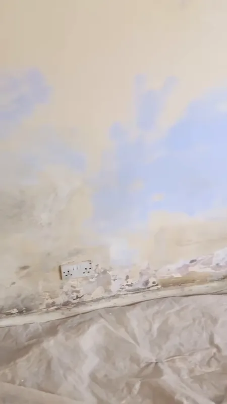 Mould along the bottom of the wall before we started
