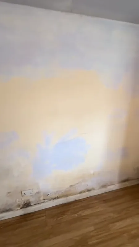 The long wall: blotchy and mouldy, then finished in magnolia — before